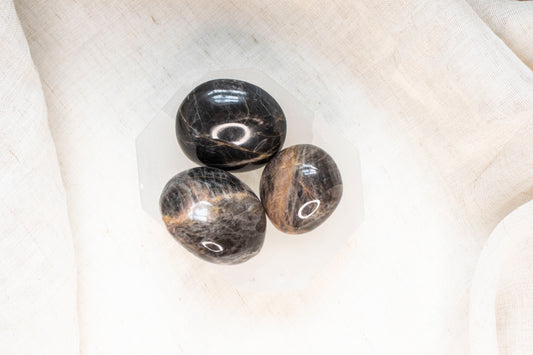 Black Moonstone Tumbles